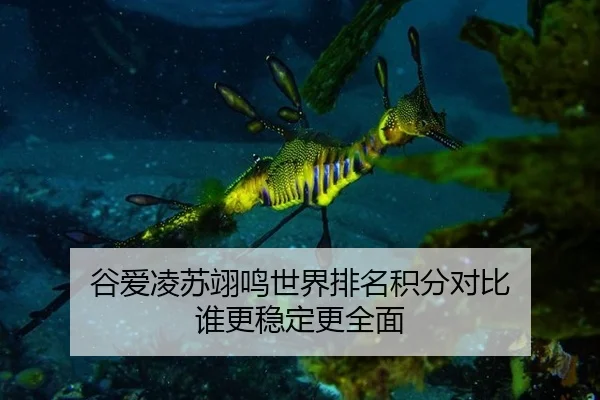 谷爱凌苏翊鸣世界排名积分对比 谁更稳定更全面